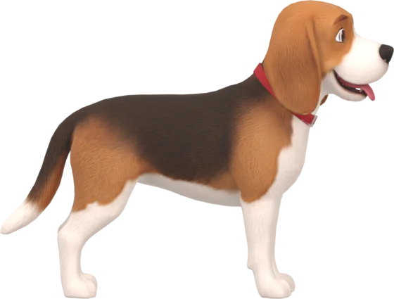 Beagle