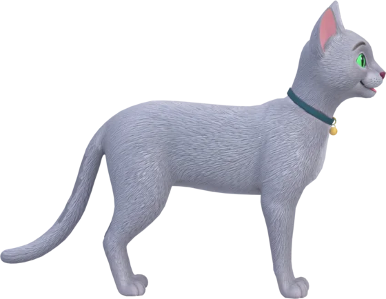 Russian Blue cat