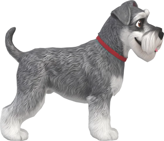 Schnauzer